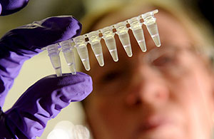 Instituto de Virología de la Escuela Médica de Hanover, Alemania. (Foto: EFE)