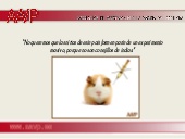 3presentacion 25 11_11